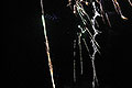 bild046