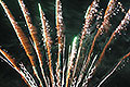bild049