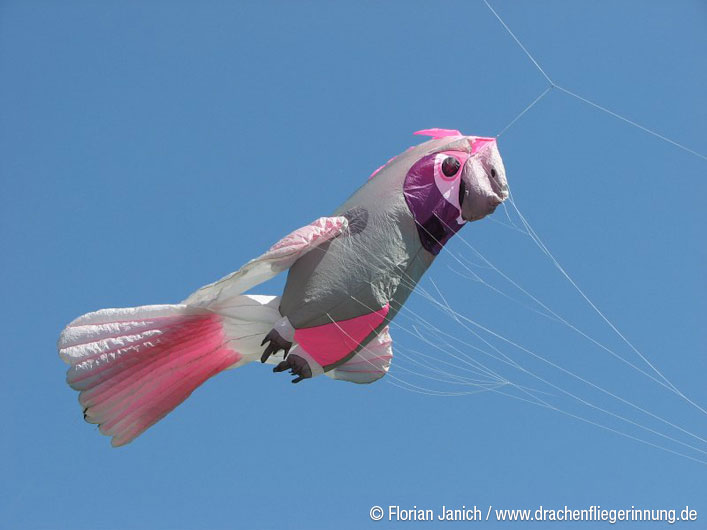 bild005