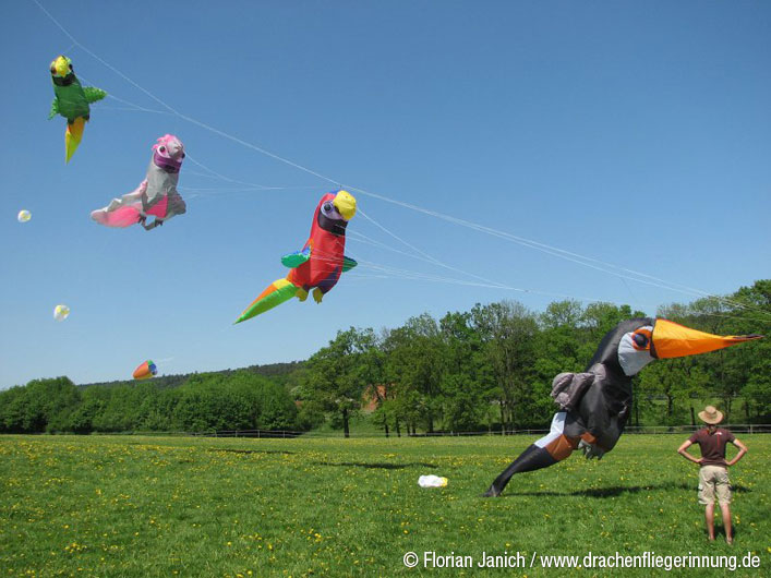 bild015