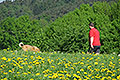 bild002