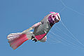 bild005