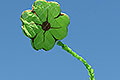 bild009