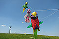 bild013