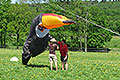 bild016