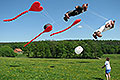 bild031