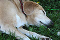 bild040