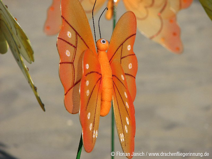 bild015