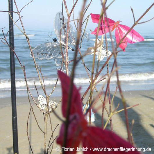 bild035