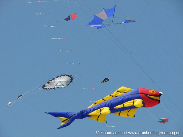 bild107