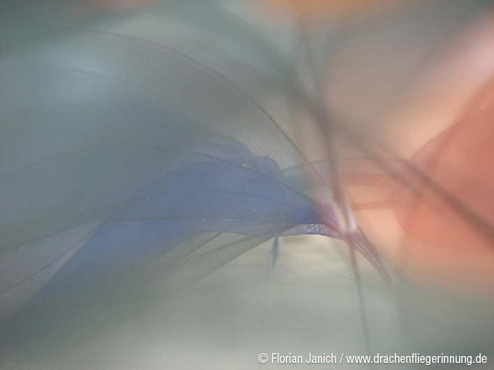 bild133
