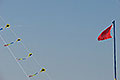bild003