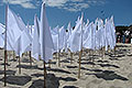bild008