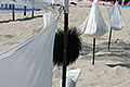 bild031
