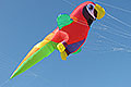bild049