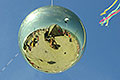 bild113