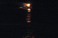 bild118