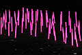bild128