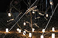 bild130