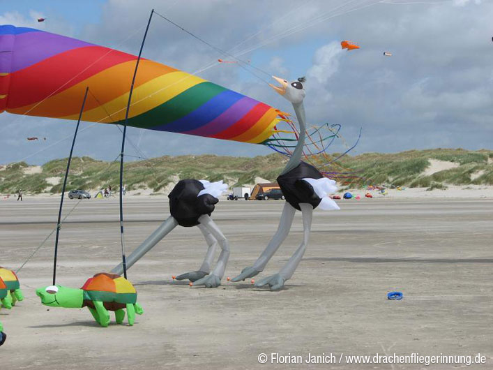 bild010