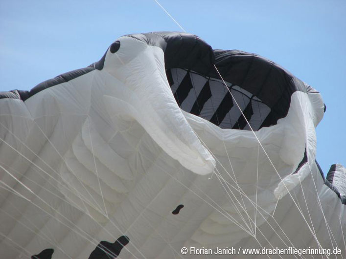 bild061