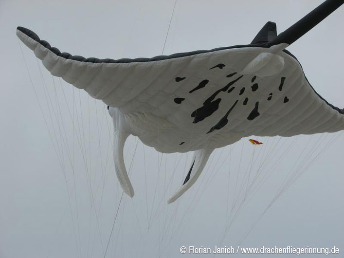 bild062