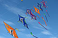 bild031