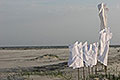 bild040