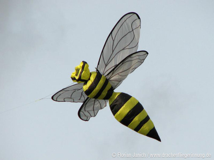 bild049