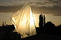 bild013