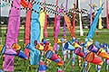bild016