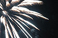 bild075