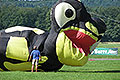 bild006
