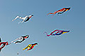 bild010