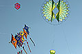 bild013