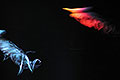 bild019