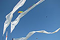 bild015
