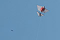 bild018