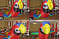 bild036
