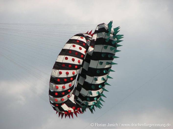 bild013