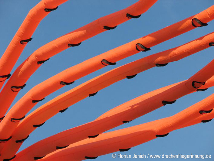 bild020