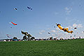 bild014