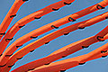 bild020