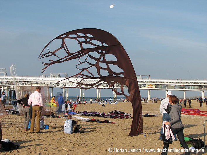 bild031
