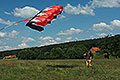 bild001