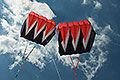 bild003