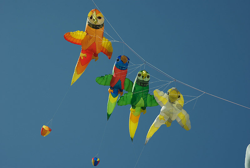 bild080