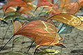 bild016