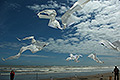 bild073