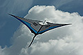bild117
